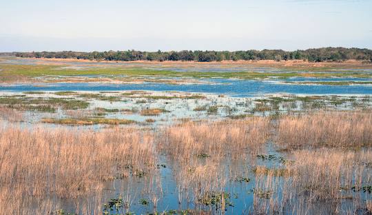 ATV Rental - Lake Jackson, TX